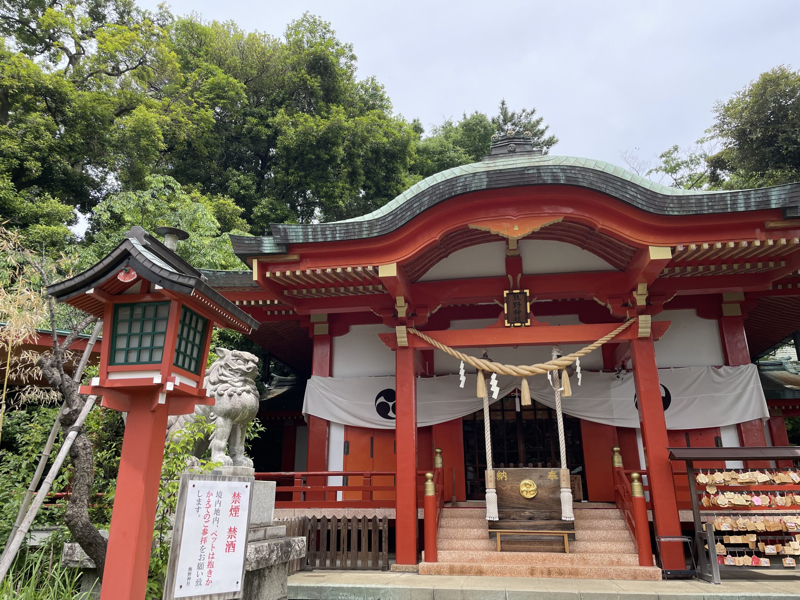 熊野神社の本殿の写真です。参道を進むと松林の中に鮮やかな本殿があります。高級住宅街の中にひっそり佇む神社です。