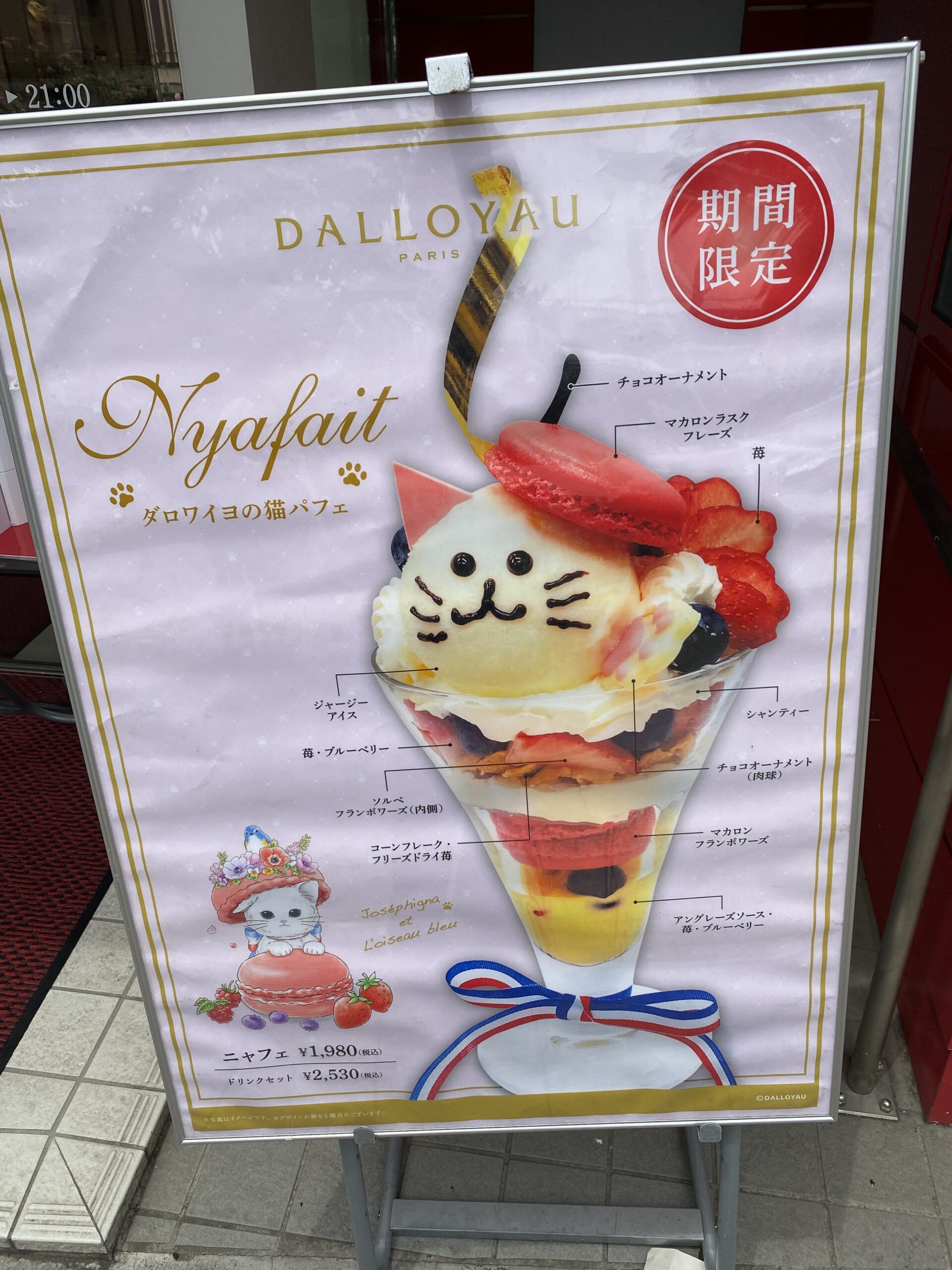 期間限定で販売されている猫のパフェ。その名も「ニャフェ」。食べるのがもったいないぐらい、とってもかわいいです～。