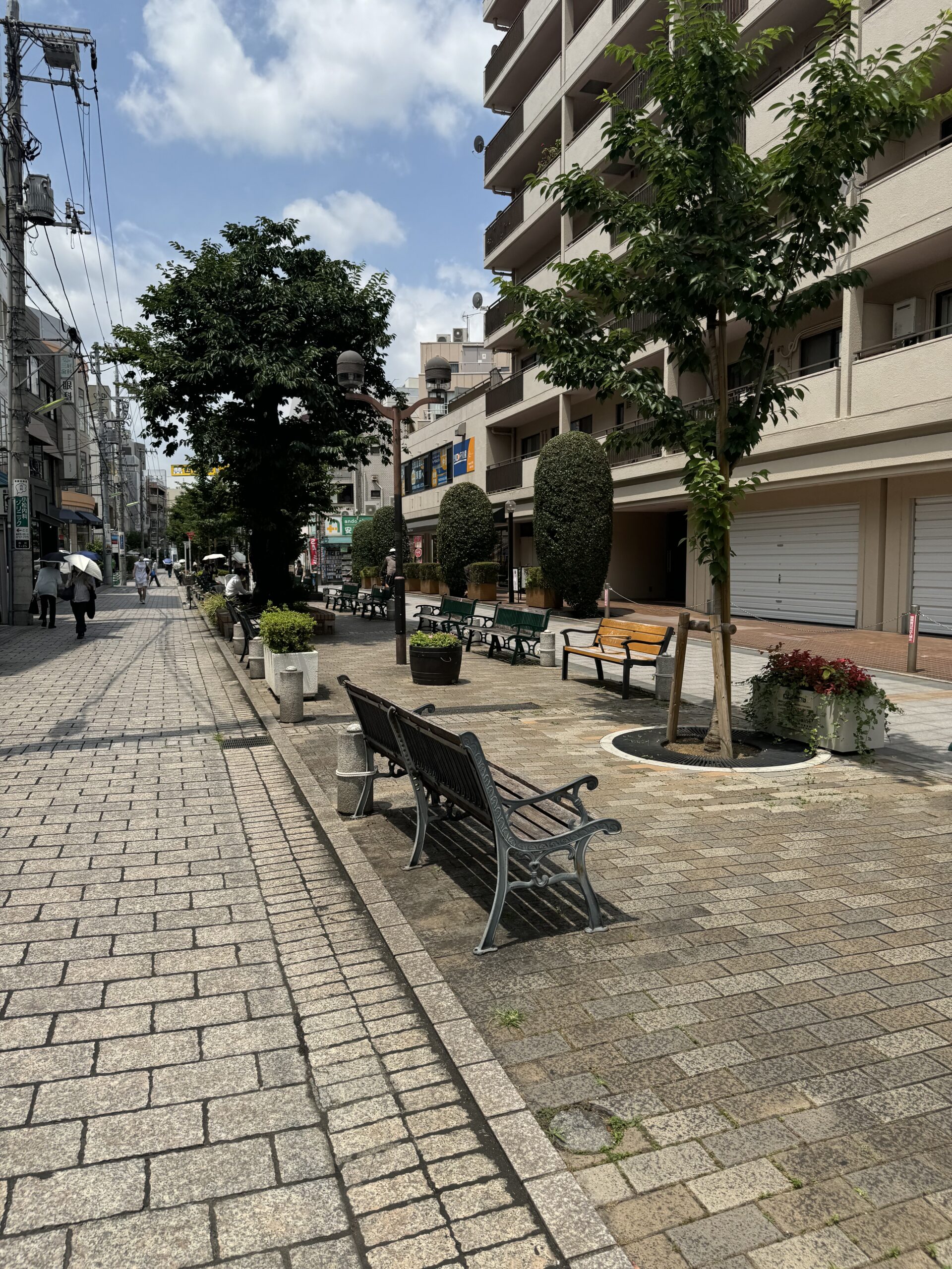 九品仏川緑道のお写真です。自由が丘を代表するスポットとなり、飲食店やお洋服屋さんが並びます。ベンチが沢山あるので地元の方がゆっくりされていたり、テイクアウト商品