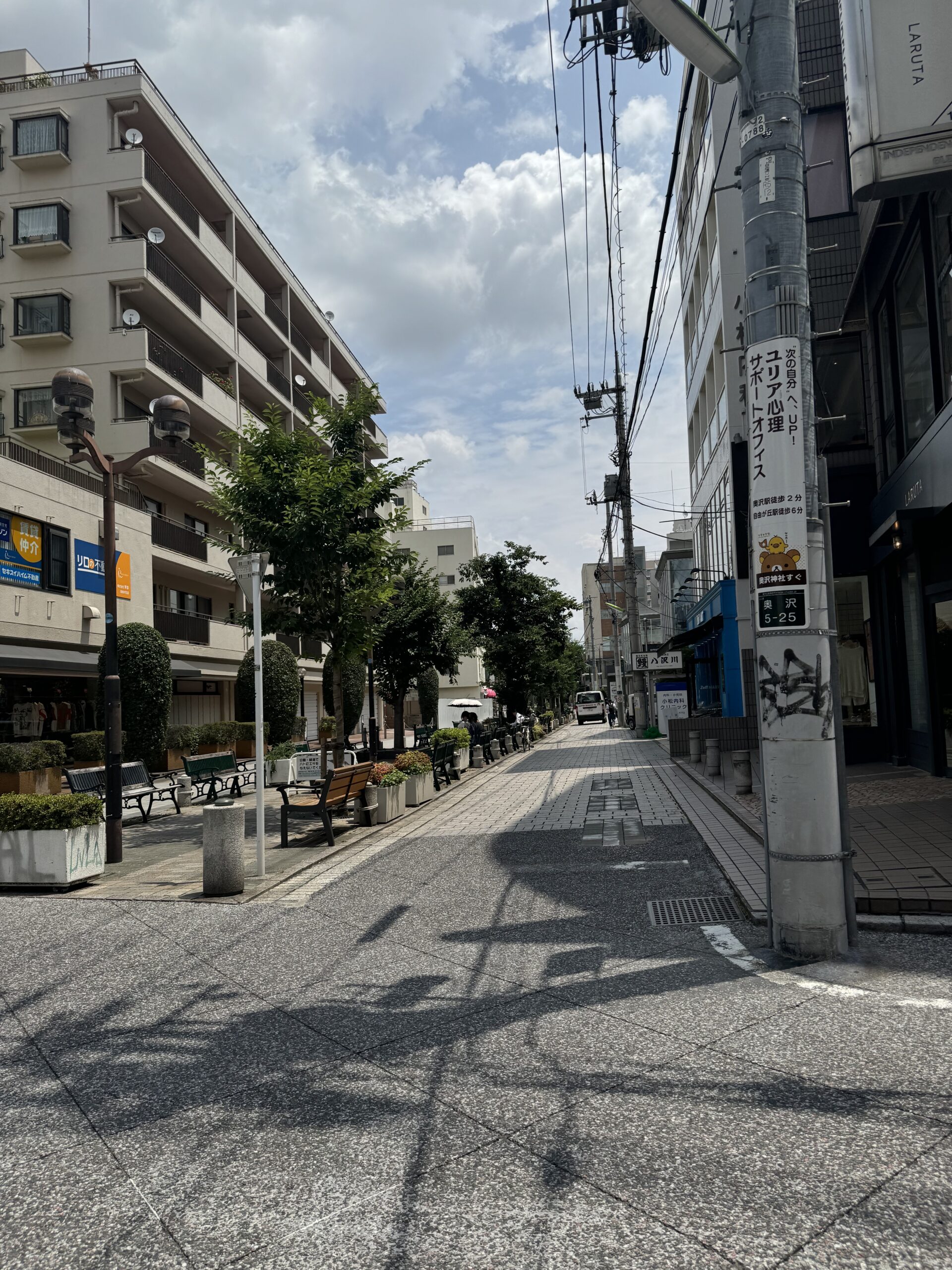 自由が丘駅南口にある九品仏川緑道。東西に約2キロに延びる緑道はベンチがあったり、お散歩コースになっていたり地元市民の憩いの場になっています。桜並木になっていて春