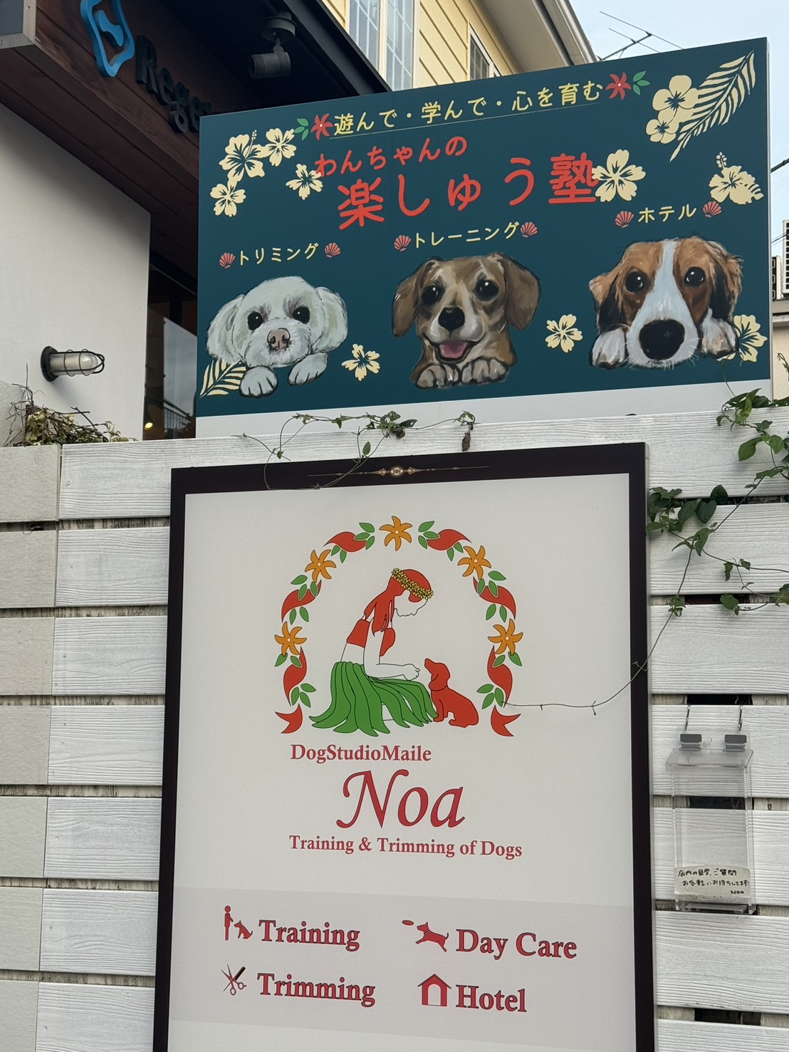 DogStudioMaileNoa（ドッグスタジオマイレノア）さんです。ワンちゃんを飼っている方には必見のお店です。こちらのお店は「楽しゅう塾」といってワンちゃ