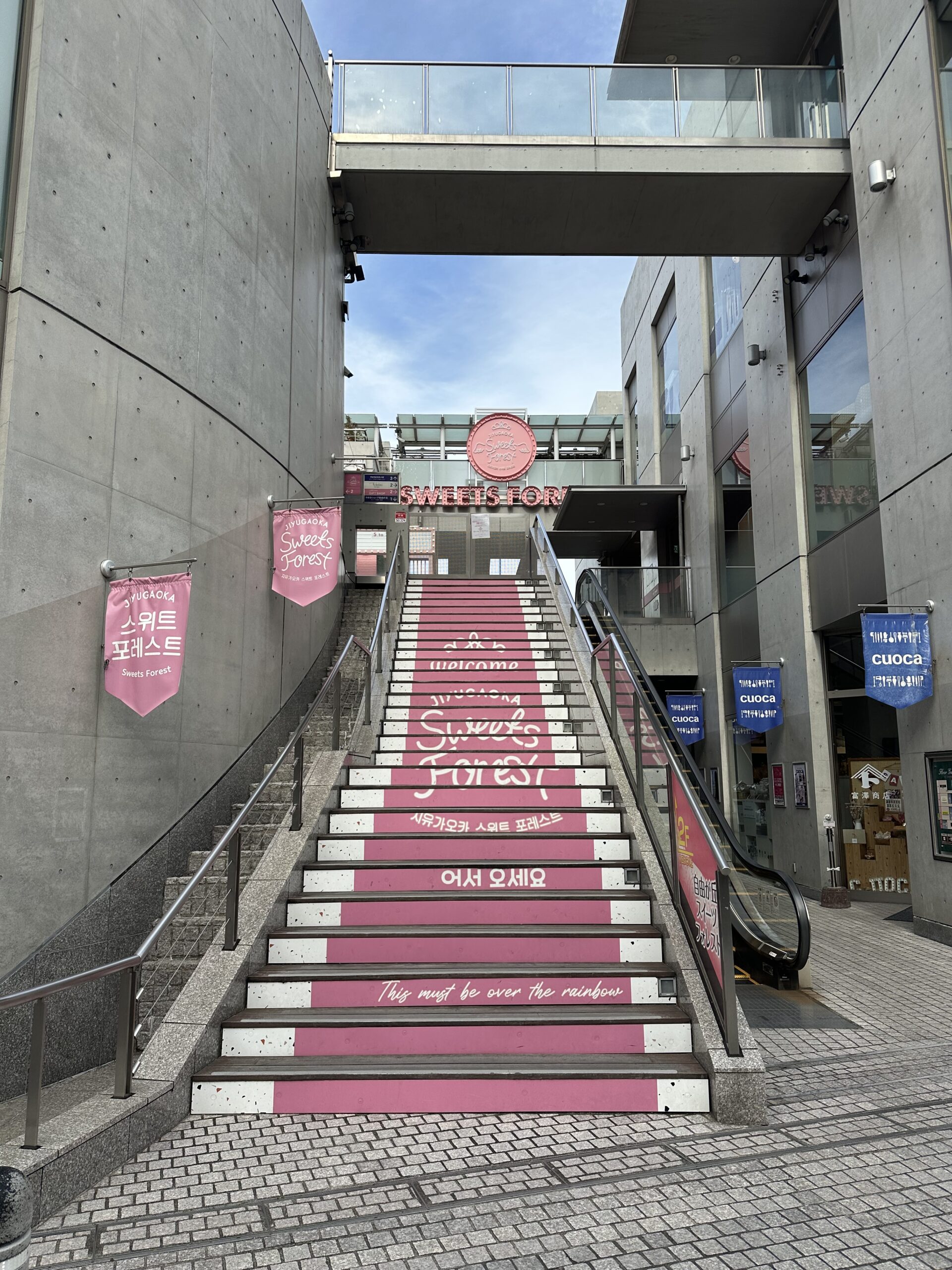 自由が丘駅南口から徒歩5分にあった「自由が丘スイーツフォレスト」さん🍨韓国人気カフェ・スイーツや、韓国雑貨などの韓国トレンドが楽しめるスイーツエ