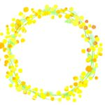 円形のミモザの花フレーム（広告・チラシ・月齢・メッセージカード）などにおすすめの円形の飾り枠となります。イラストで色鮮やかなミモザの花が描かれており、透過PNG