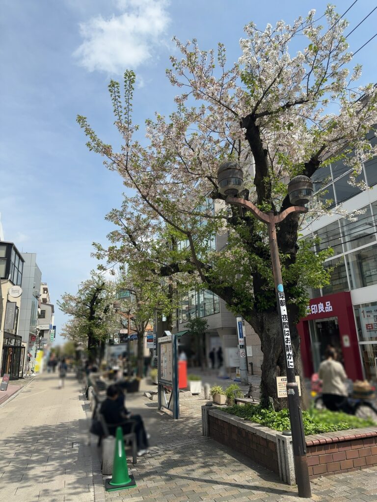 自由が丘駅南口から徒歩ですぐの