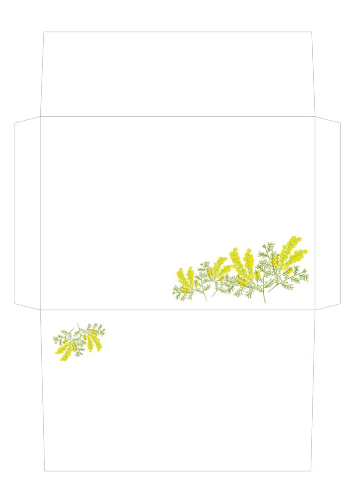 春を代表するお花「ミモザ」のイ