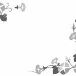 無料テンプレート フレーム素材・飾り枠 あさがお