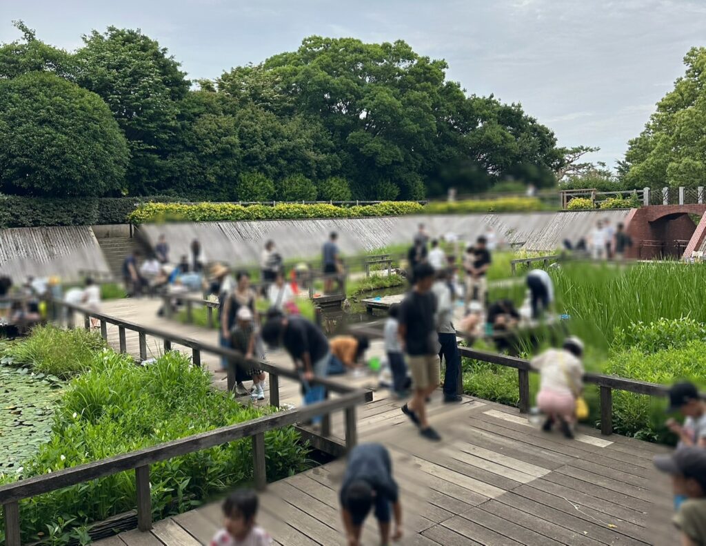 ザリガニ釣りも！水生植物園