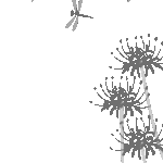 無料テンプレート フレーム素材・飾り枠 お便り