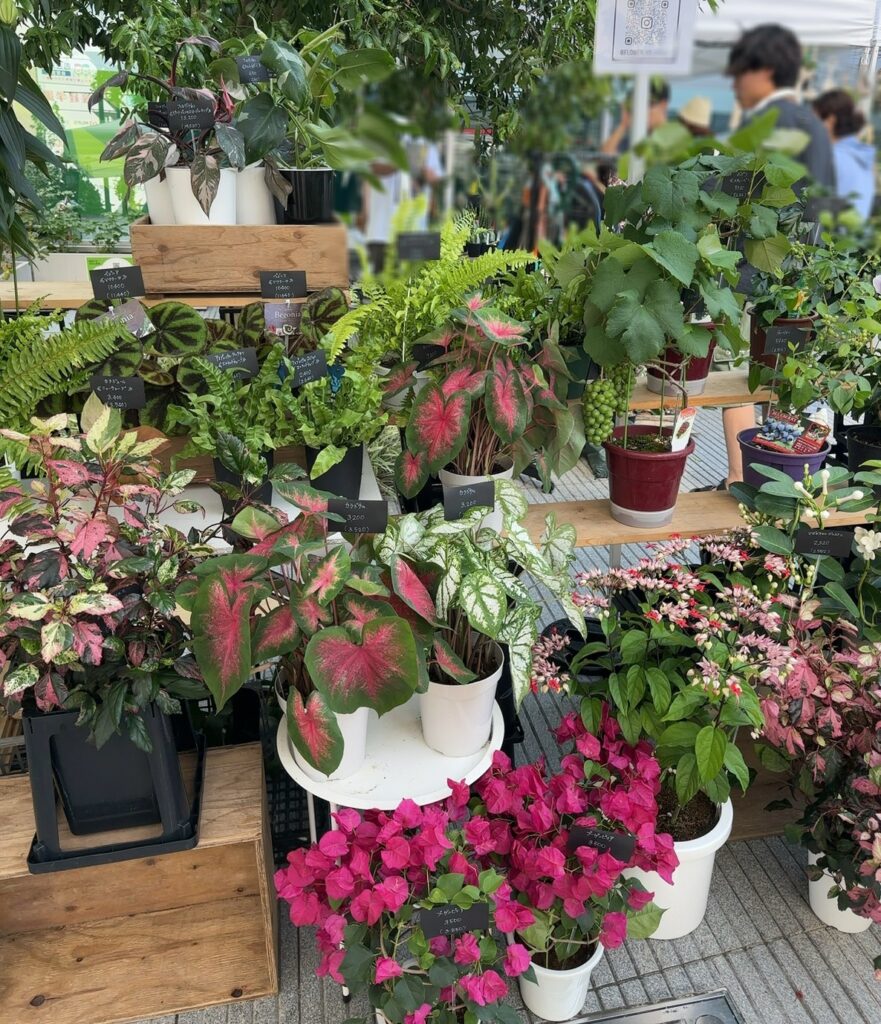 JIYUGAOKA BOTANICAL MARKET