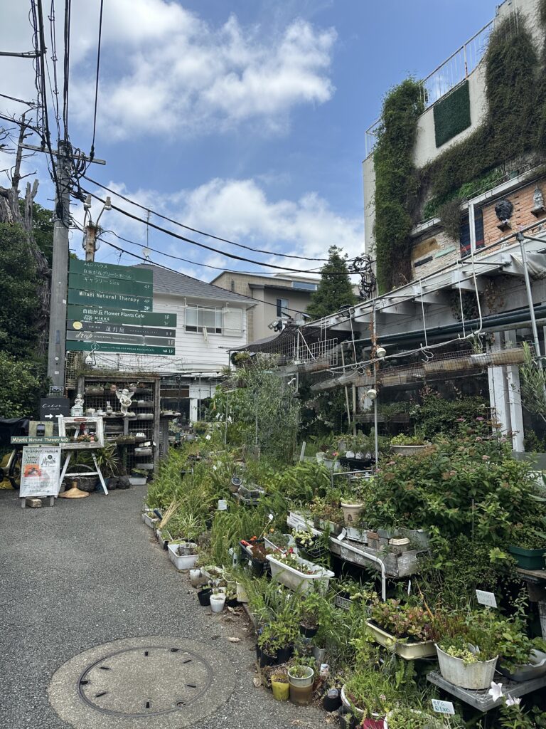 「自由が丘フラワープランツカフ