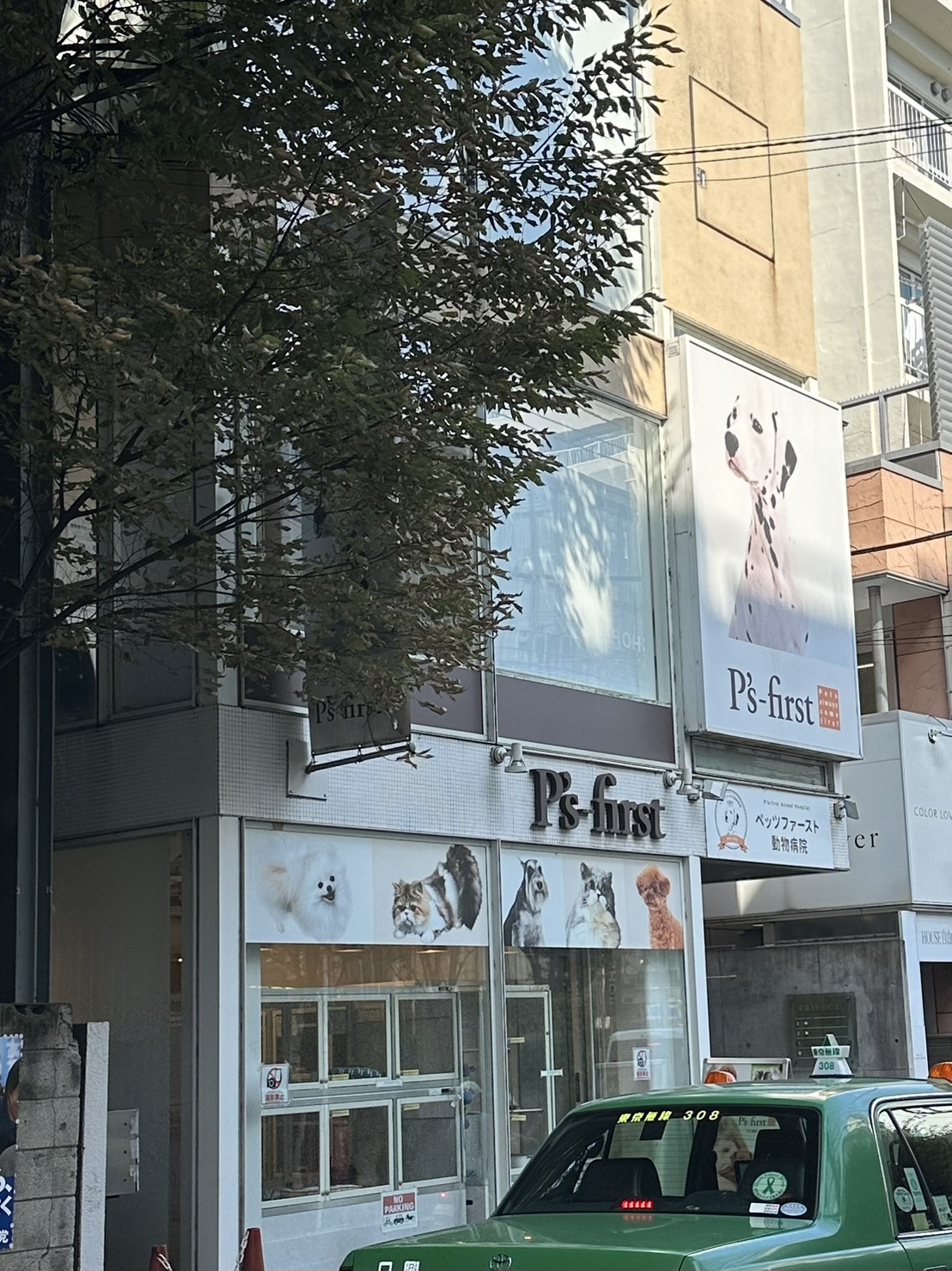 すずかけ通りに面しているPets-first（ペッツファースト）自由が丘店。いつもお店の前を通ると、ガラス越しに可愛い子犬たちが見られます。 運営元のペッツファ