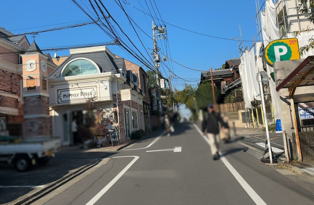 緩やかな坂を歩いていきます