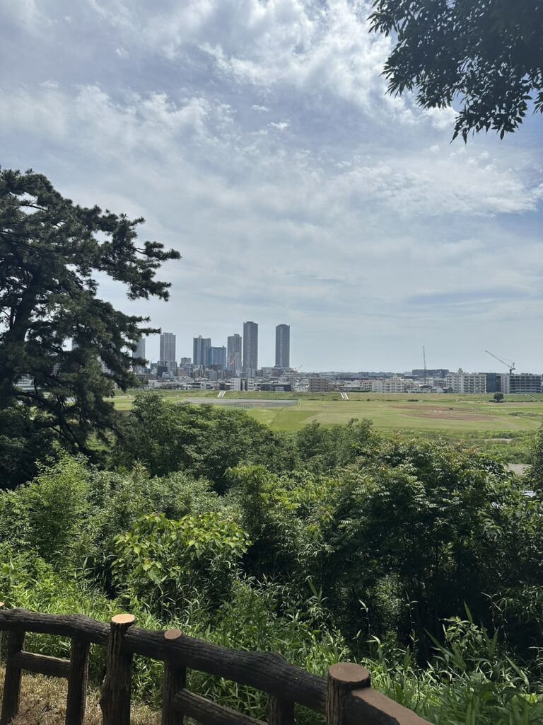 写真は多摩川台公園からの絶景で