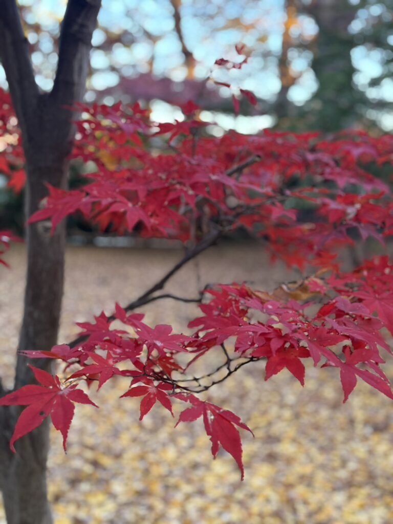 自由が丘駅から徒歩約15分、東