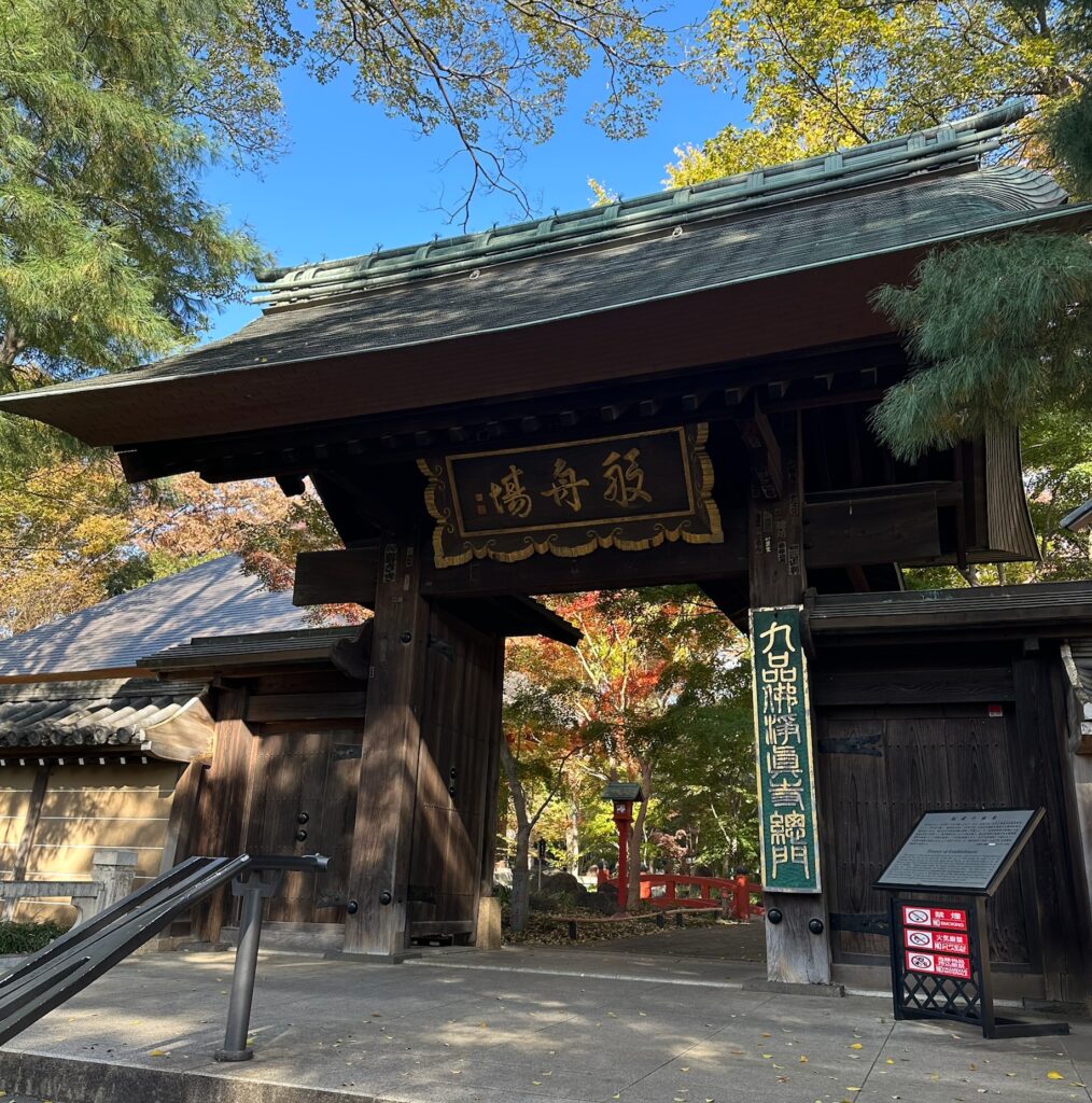 自由が丘近辺で紅葉を楽しむなら