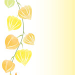 7月のデザイン（ホオズキのかわいいイラスト・お礼状・POP・アルバム・学校）JPG・PNG・PDFをでダウンロードが出来るフリー素材となります。7月はホオズキが