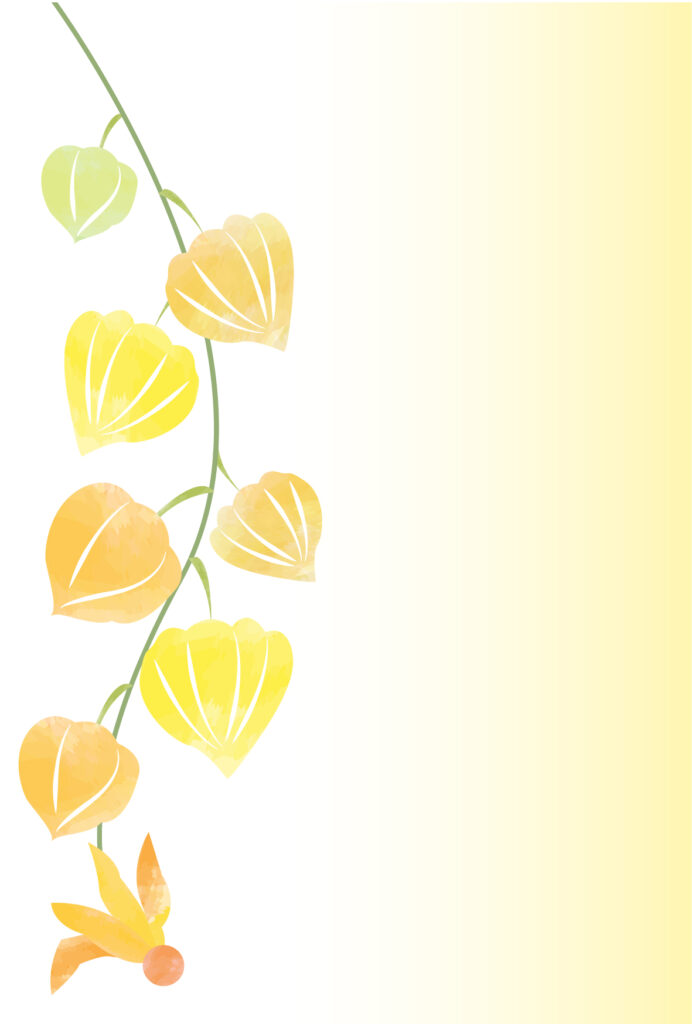 7月のデザイン（ホオズキのかわ