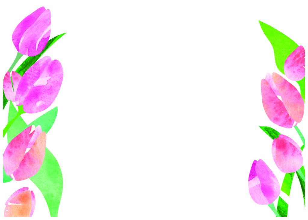 春をイメージしたチューリップの