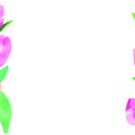 春をイメージしたチューリップのフレームデザイン（葉書・広報誌・小学校のプリント）などにおすすめの飾り枠の素材となります。左右に水彩風のチューリップがイラストで描