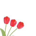 無料テンプレート メッセージカード お手紙