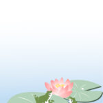 ピンク色のかわいい睡蓮の開花を喜ぶ、2日匹のカエルがかわいい♪テンプレート！ 梅雨の時期のメッセージカードとしてお勧めする「睡蓮（スイレン）」のイラストのテンプ