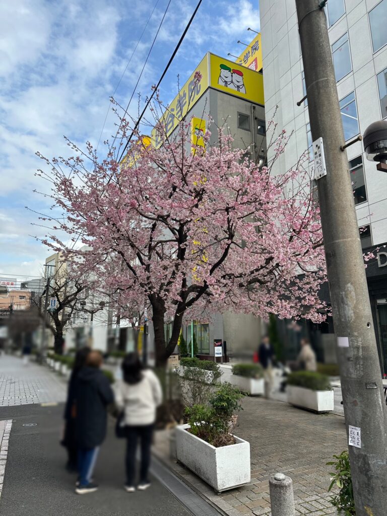 先週、自由が丘駅南口近くの九品