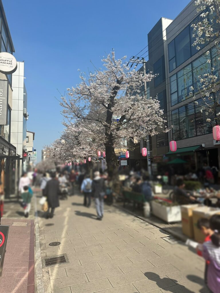 28日（土）12:00から20