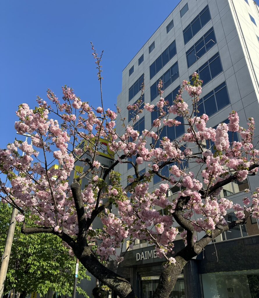 自由が丘の街の憩いの場、九品仏