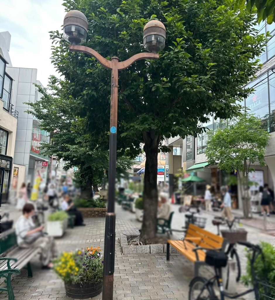 いつも賑わう九品仏川緑道