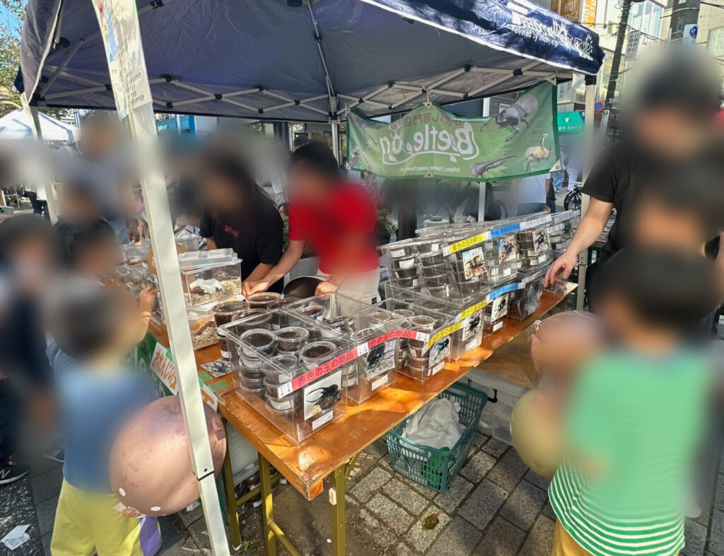 こどもたちも大喜び!カブトムシ・クワガタ専門店「Beetle on(ビートロン)東京店」